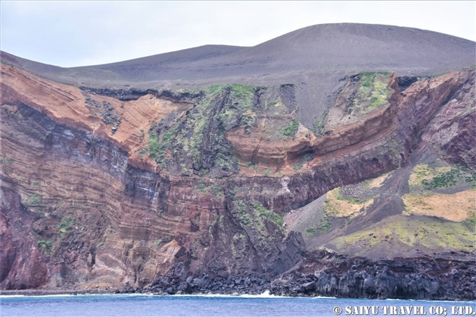 ⑬島の南側にある燕崎の繁殖地アホウドリ　鳥島クルーズShort-tailed Albatross Tori-shima Island Tsubamezaki Albatross breading ground