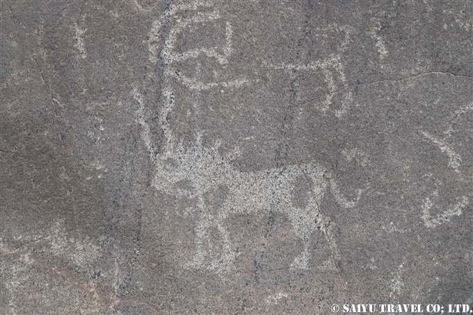 チラス岩絵　Chilas Rock carving Petroglyph (9)