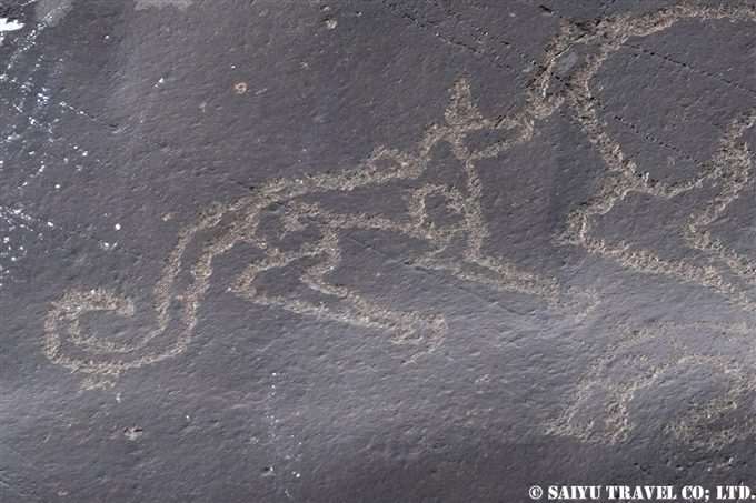 アイベックスとユキヒョウ Ibex & Snow leopardチラス岩絵　Chilas Rock carving Petroglyph (4)