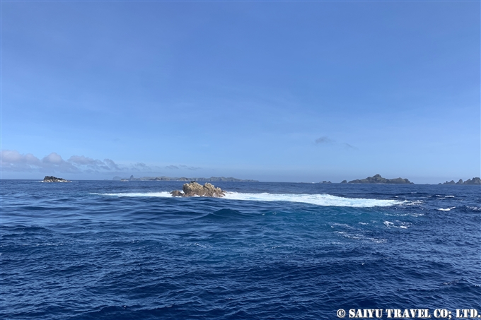 bonin island Ogasawara dive in ogasawara 一ノ岩　聟島列島　ケータ遠征 (16)