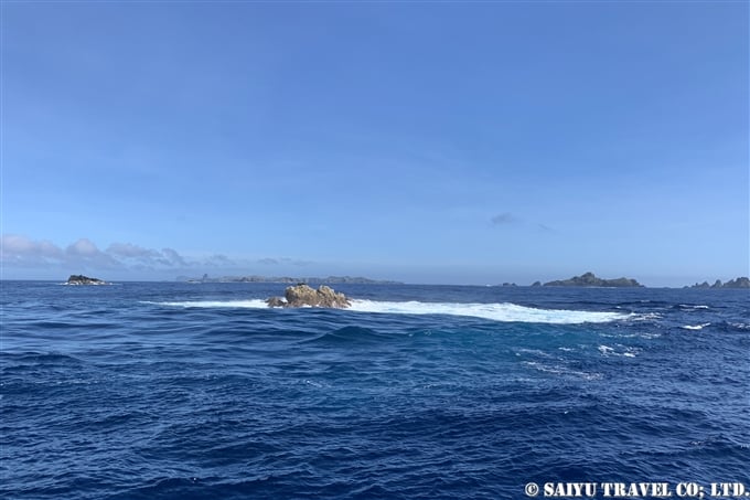 bonin island Ogasawara dive in ogasawara 一ノ岩　聟島列島　ケータ遠征 (16)