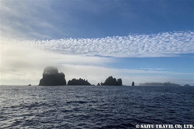 bonin island Ogasawara dive in ogasawara 針の岩　聟島列島　ケータ遠征 (17)