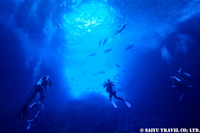 bonin island Ogasawara dive in ogasawara シロワニ　嫁のマグロ穴　聟島列島　ケータ遠征 (18)