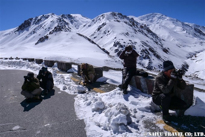 ユキヒョウ　クンジュラブ峠 Snow Leopard Expedition Khunjerab National Park (6)