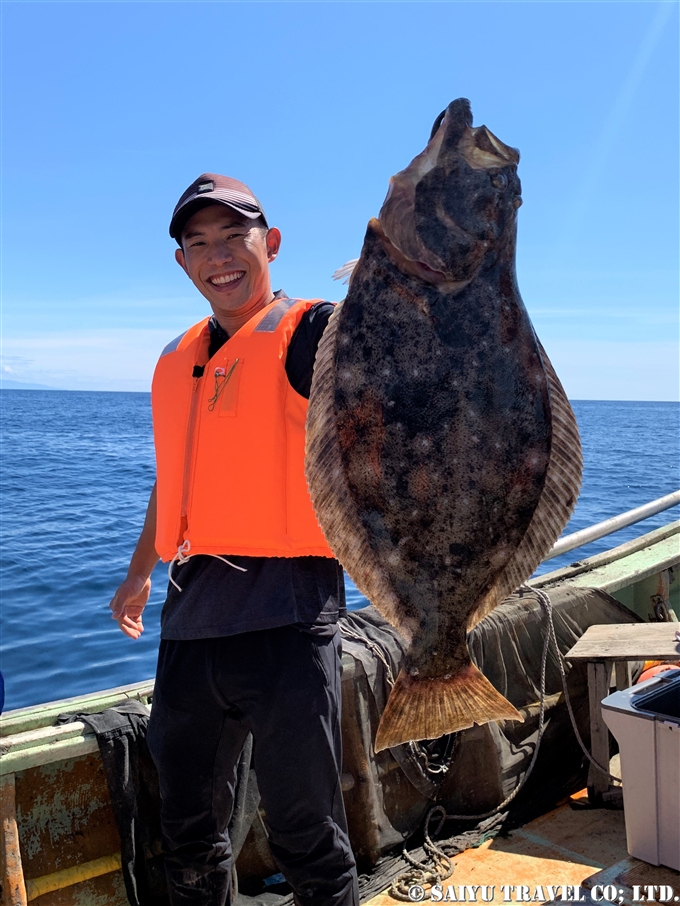 天売島　海鳥塾　 (1)