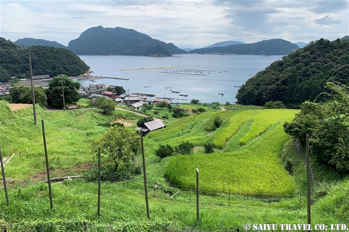 日引の棚田　福井県　高浜町　