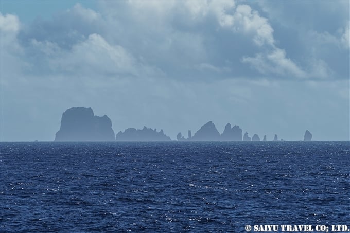 聟島列島　針の岩　小笠原　マッコウクジラ　鯨類と出会う旅　Ogasawara Sperm Whale (6)