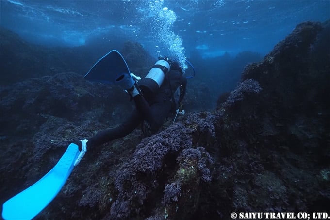 Underwater Geopark,Keikai Beach, Izuoshima, 海底ジオパークのようなケイカイを行くオーナー