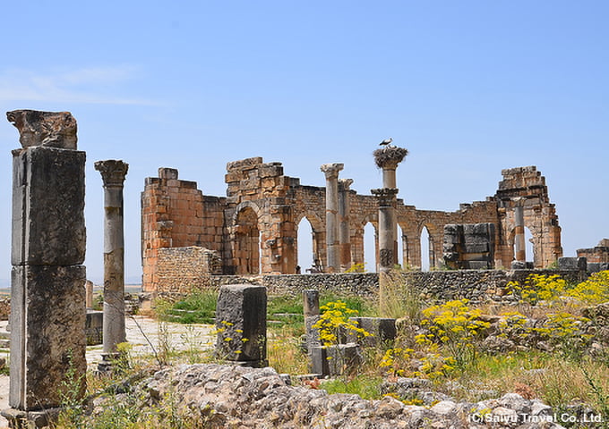 モロッコ最大のローマ遺跡ヴォルヴィリスのカピトリーノ神殿