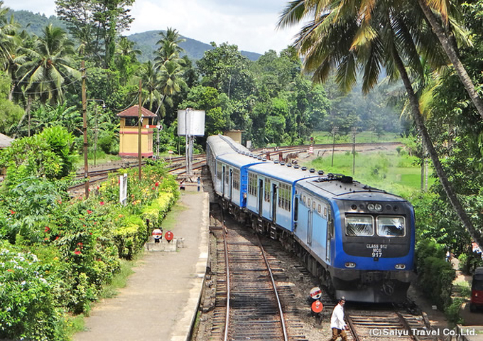 高原列車に乗って緑溢れるスリランカ中央高原を走る