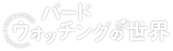 バードウォッチングの世界