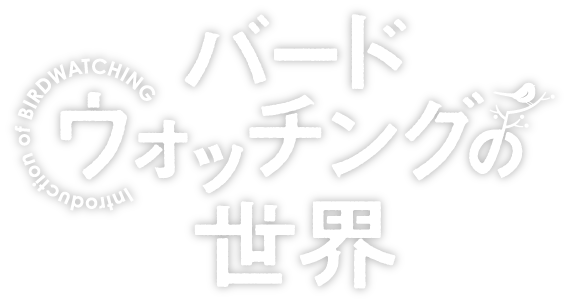 バードウォッチングの世界