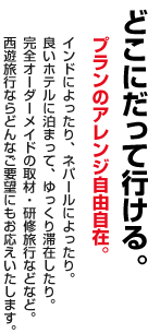 どこにだって行ける。プランのアレンジ自由自在。