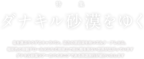 「ダナキル砂漠をゆく」ダナキル砂漠ツアー特集