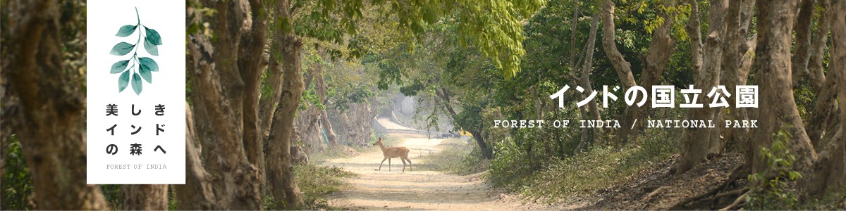 インドの国立公園