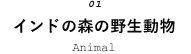 インドの森の野生動物