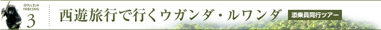 西遊旅行で行く　ウガンダ・ルワンダ