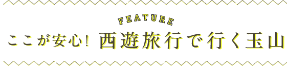 ここが安心！西遊旅行で行く玉山