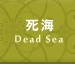 死海