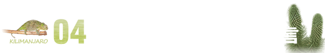 ツアーリーダーからの一言