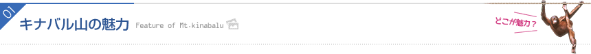 キナバル山の魅力
