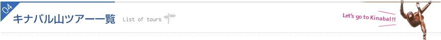 キナバル山ツアー一覧