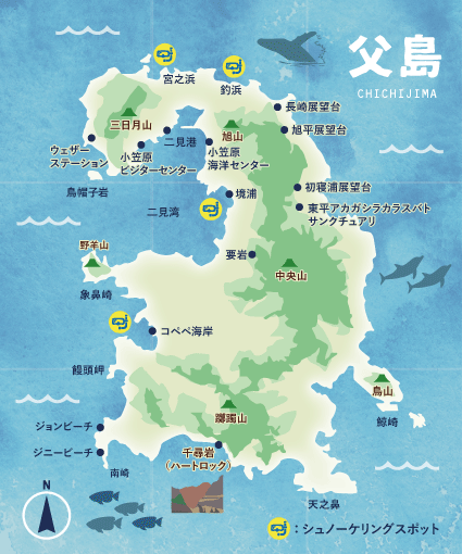 小笠原ツアー特集 世界自然遺産 小笠原諸島 西遊旅行 特集