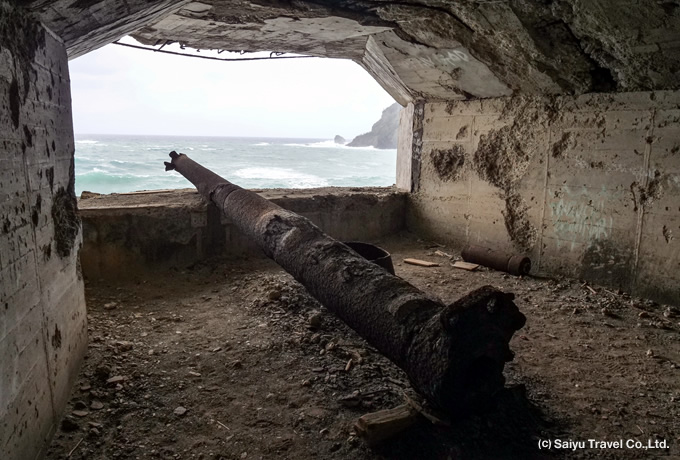 小笠原ツアー特集 世界自然遺産 小笠原諸島 西遊旅行 特集