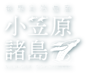 小笠原ツアー特集 世界自然遺産 小笠原諸島 西遊旅行 特集