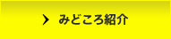 見どころ紹介