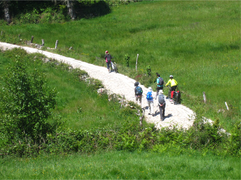 緑に囲まれた石畳路を歩く