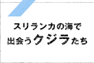 ウユニ塩湖とは