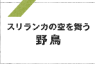 見どころ紹介