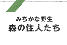 西遊旅行で行くウユニ塩湖