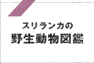 西遊旅行で行くウユニ塩湖