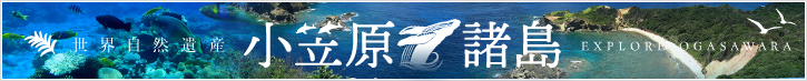 小笠原ツアー特集「世界自然遺産 小笠原諸島」