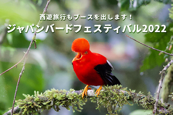 ジャパンバードフェスティバル2022