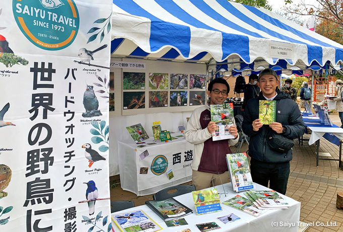 セイロンガマグチヨタカ