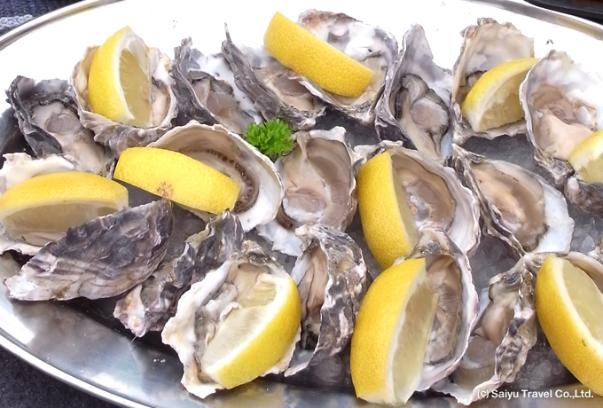 砂漠と大西洋が出会う国 ナミビア 西遊旅行の添乗員同行ツアー 146号