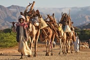 エリトリア Eritrea
