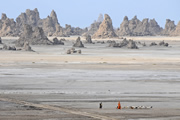 アフリカ大地溝帯最深部　アファール・トライアングルを行く