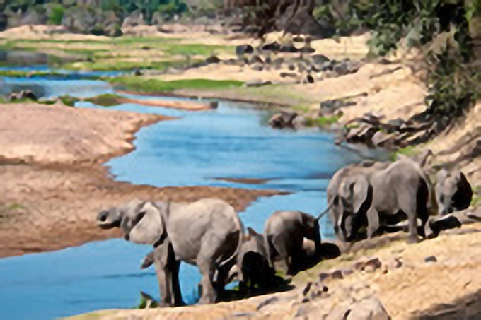 タンザニアスペシャル セルー動物保護区とルアハ国立公園 