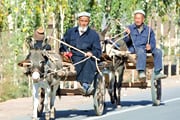 新疆シルクロードの旅 9日間