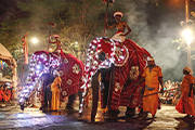 スリランカ最大の祭典ペラヘラ祭り見学と5大世界遺産