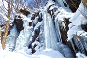 冬を愉しむ青森・岩手　八甲田山の樹氷と奥入瀬・八幡平の氷瀑をめぐる