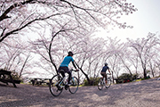 上鶴篤史さん同行シリーズ　とびしま・ゆめしま海道と御手洗まちなみサイクリング＆積善山三千本桜ハイキング