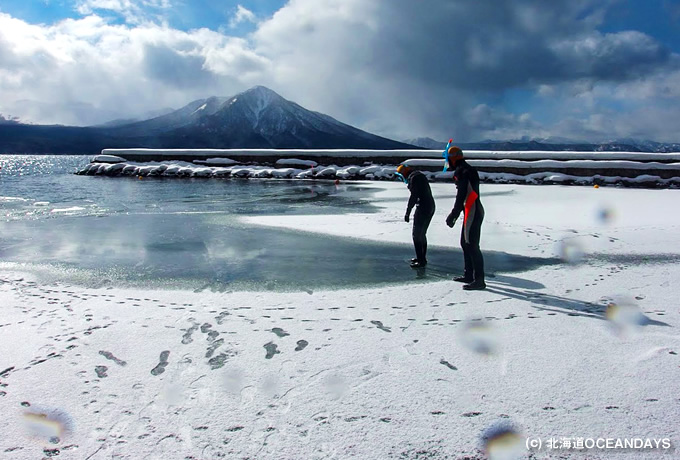 冬の湖 ニューヨークの白鳥の湖 水鳥の冬の楽園セントラルパークの