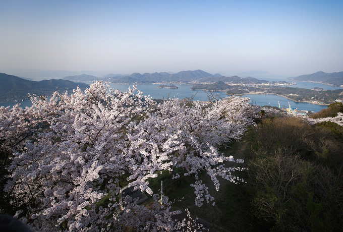 桜満開 瀬戸内の美しき島々をめぐる旅 西遊旅行の添乗員同行ツアー 147号