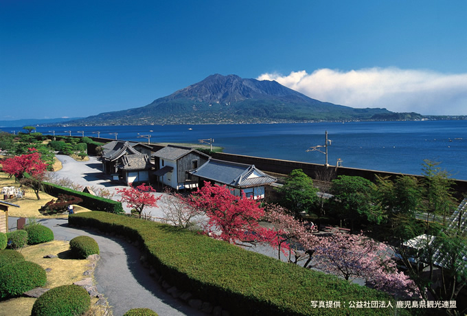桜島の溶岩ウォークと鹿児島の2つの半島を巡る旅 西遊旅行の添乗員同行ツアー 147号