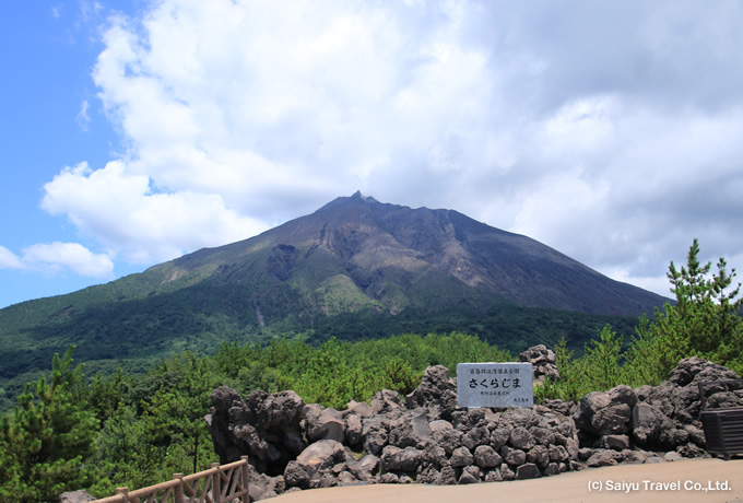桜島の溶岩ウォークと鹿児島の2つの半島を巡る旅 西遊旅行の添乗員同行ツアー 147号